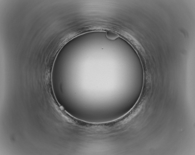 X0000113030993200908271451