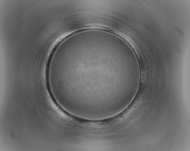 X0000113030995200908271451