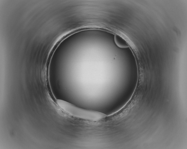 X0000113030996200908271451