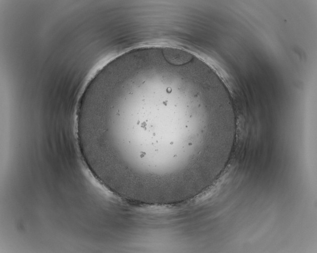 X0000113030998200908271451