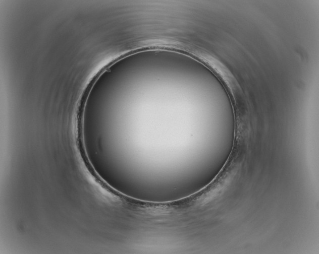 X0000113030999200908271451