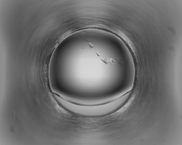 X0000113031001200908271451