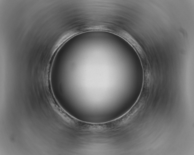 X0000113031002200908271451