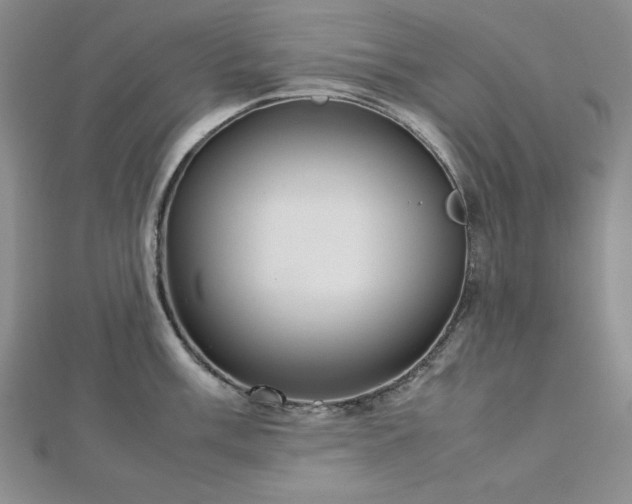 X0000113031003200908271451