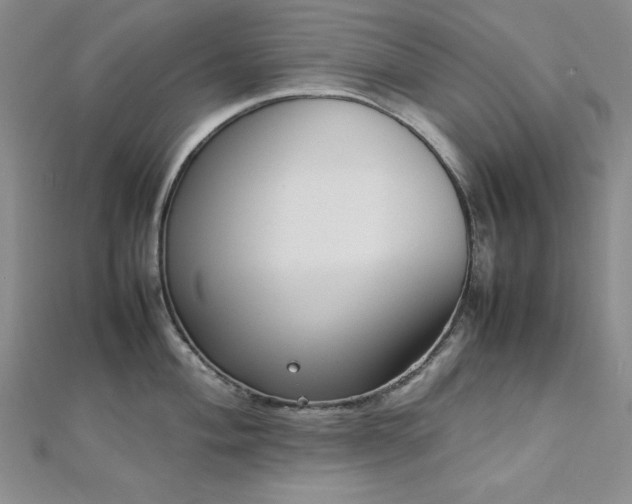 X0000113031004200908271451