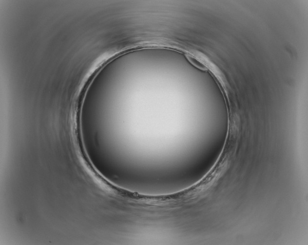 X0000113031005200908271451