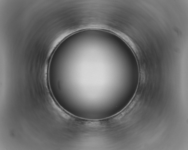 X0000113031006200908271451