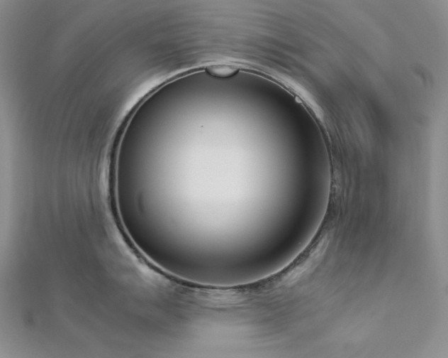 X0000113031007200908271451