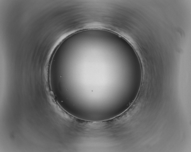 X0000113031008200908271451