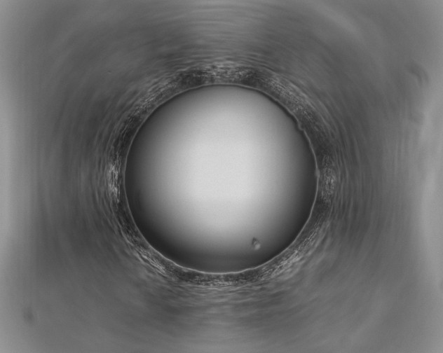 X0000113031010200908271450