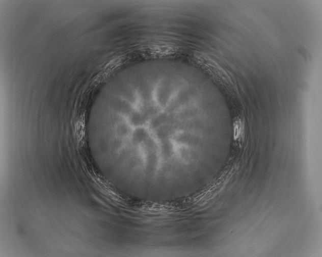 X0000113031011200908271450