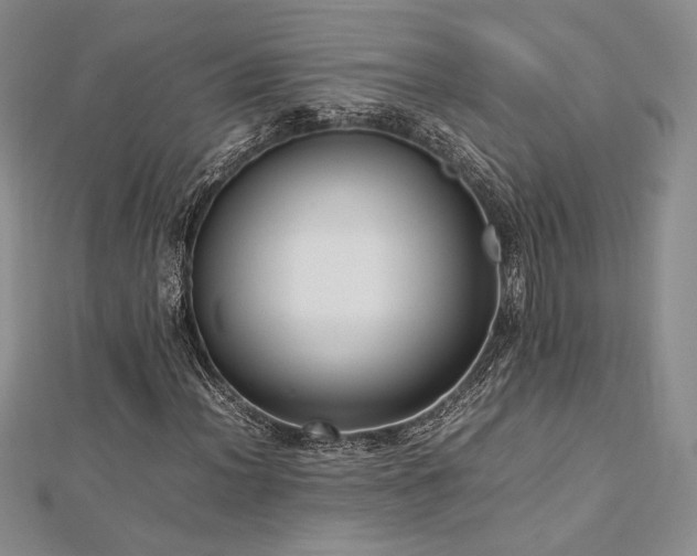 X0000113031012200908271450