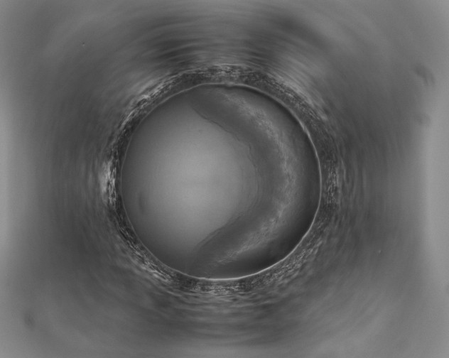 X0000113031013200908271450