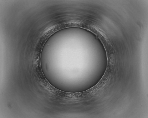 X0000113031015200908271450