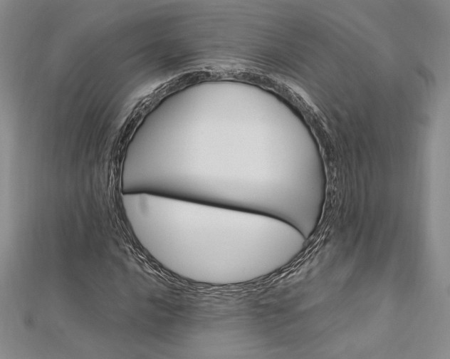 X0000113031016200908271450