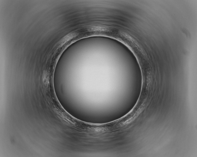 X0000113031017200908271450