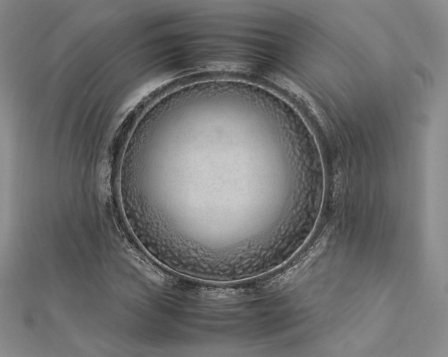 X0000113031019200908271450