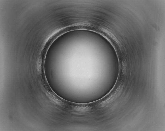 X0000113031021200908271450