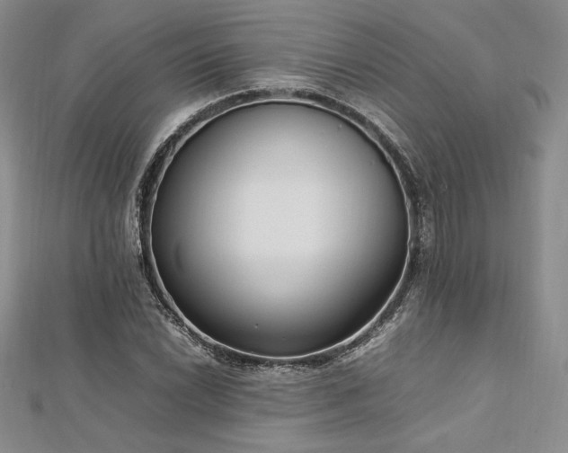 X0000113031022200908271450