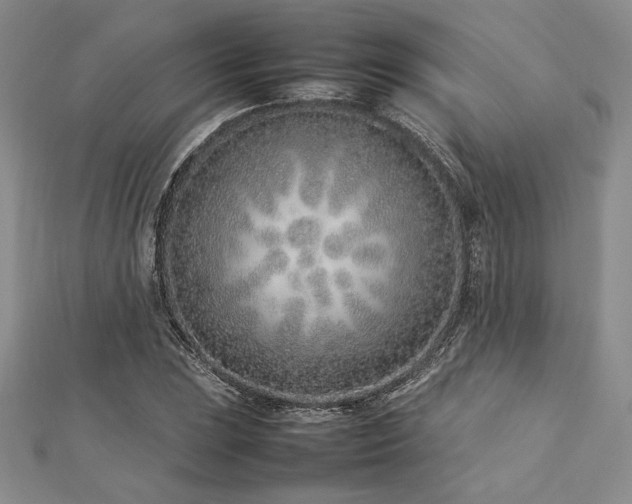 X0000113031023200908271450