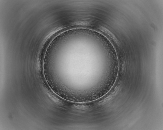 X0000113031027200908271450