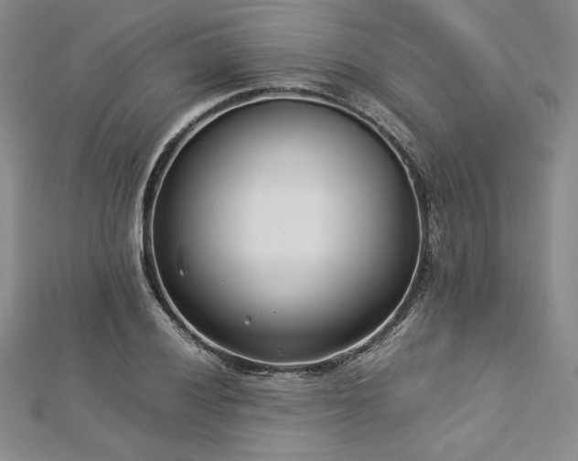 X0000113031028200908271450