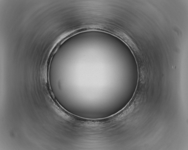 X0000113031036200908271450