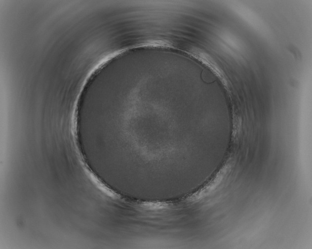 X0000113031037200908271450