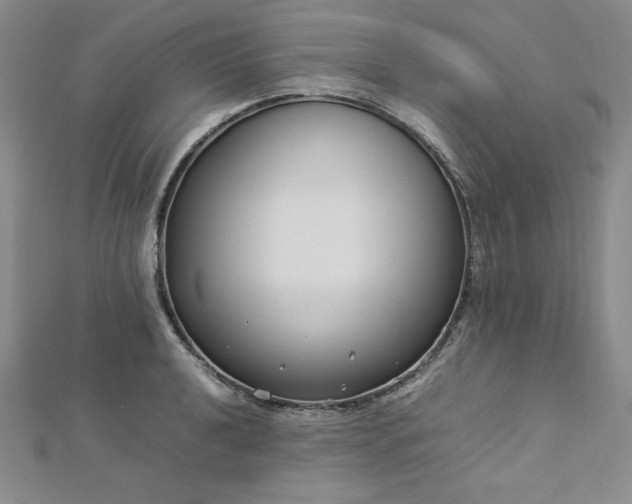 X0000113031040200908271450