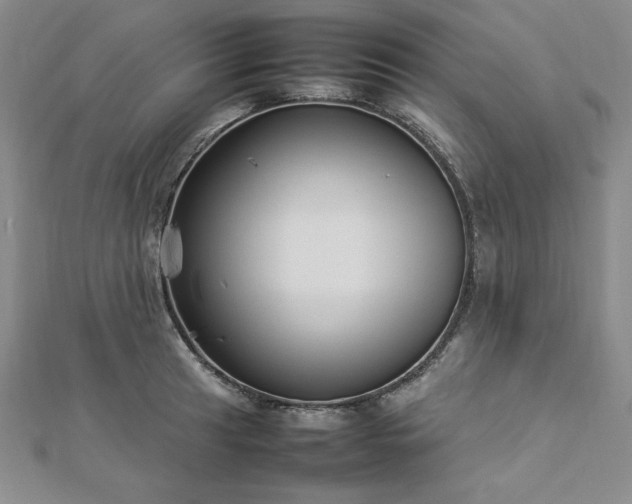 X0000113031041200908271450