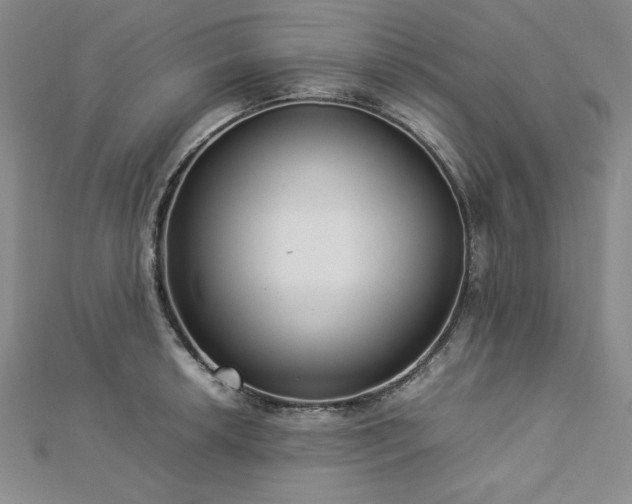 X0000113031042200908271450