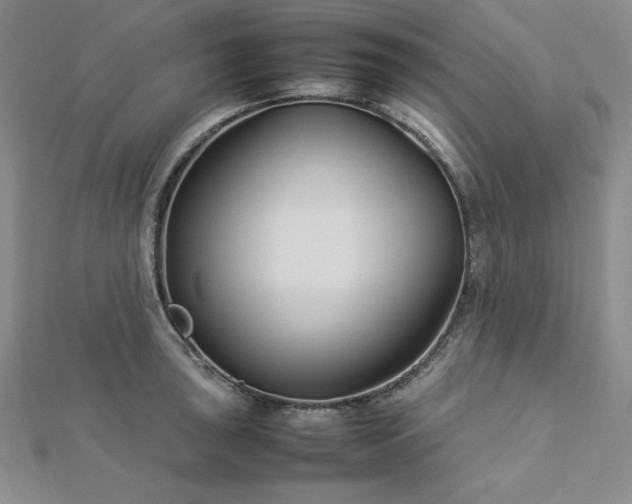 X0000113031043200908271450