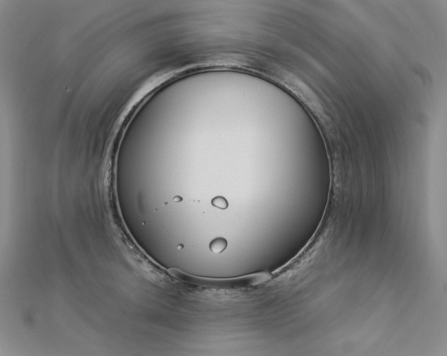 X0000113031044200908271450