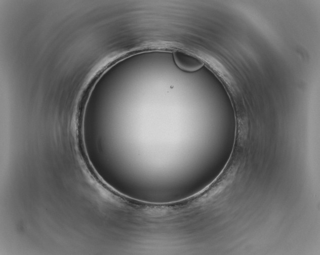 X0000113031046200908271451