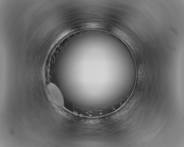 X0000113031047200908271451