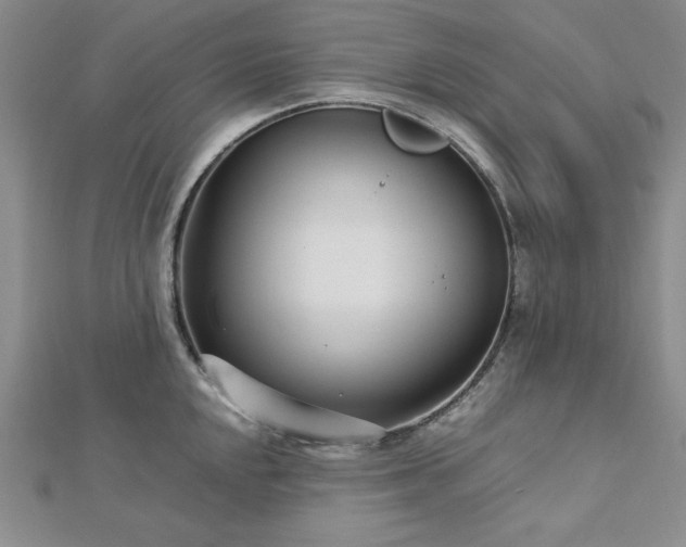 X0000113031048200908271451