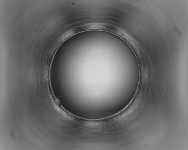 X0000113031049200908271451