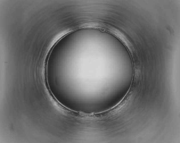 X0000113031050200908271451