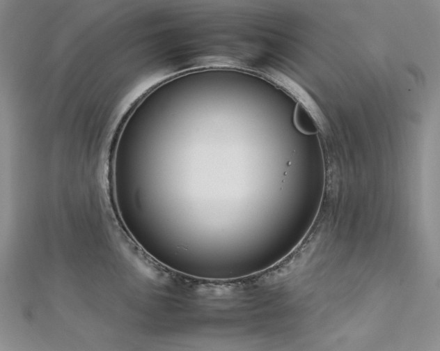 X0000113031051200908271451