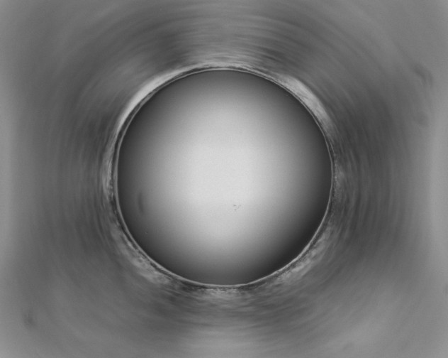 X0000113031052200908271451