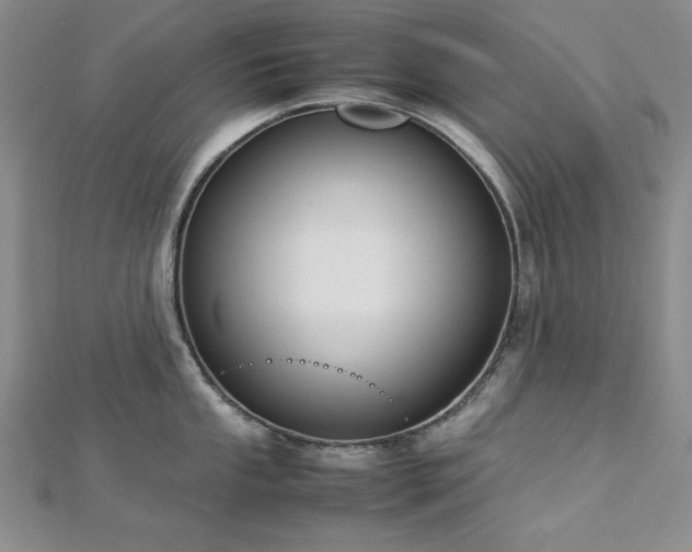 X0000113031053200908271451