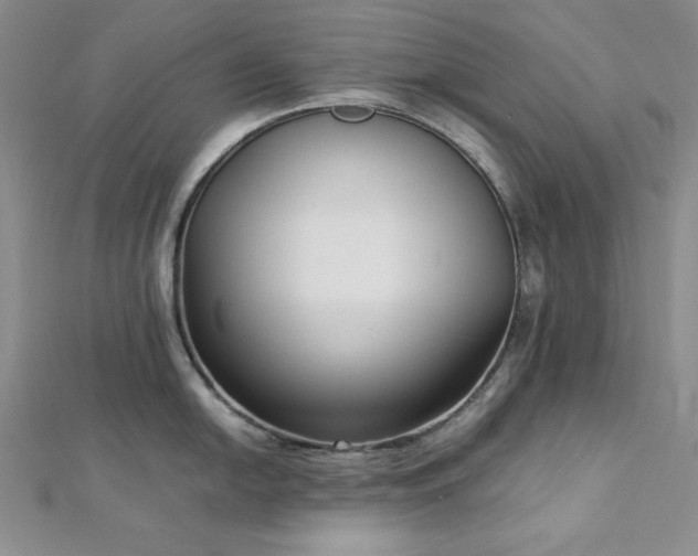 X0000113031054200908271451