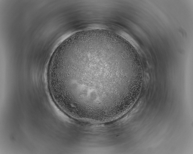 X0000113031055200908271451