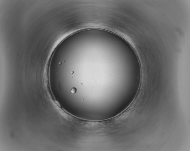 X0000113031056200908271451