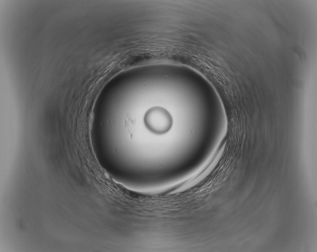 X0000113031057200908271450