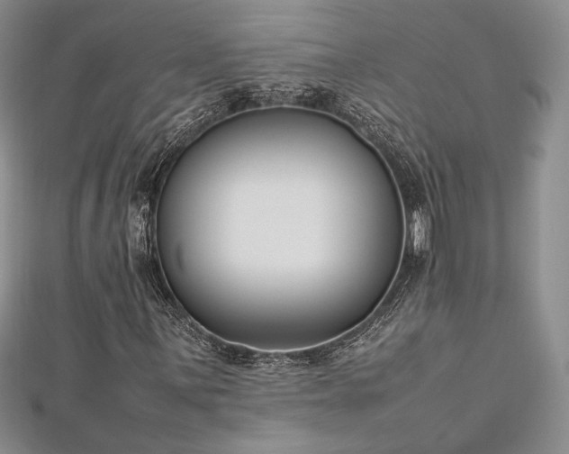 X0000113031059200908271450