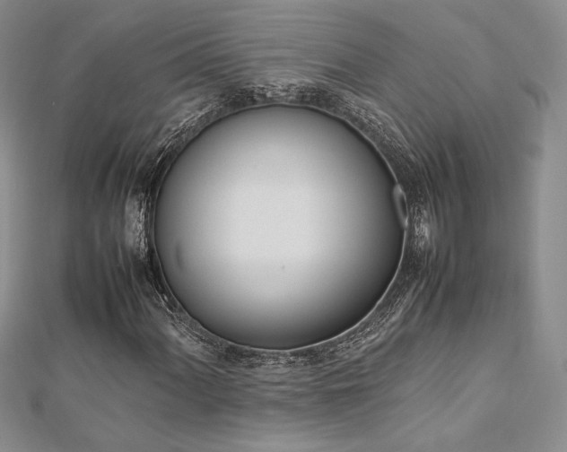 X0000113031060200908271450