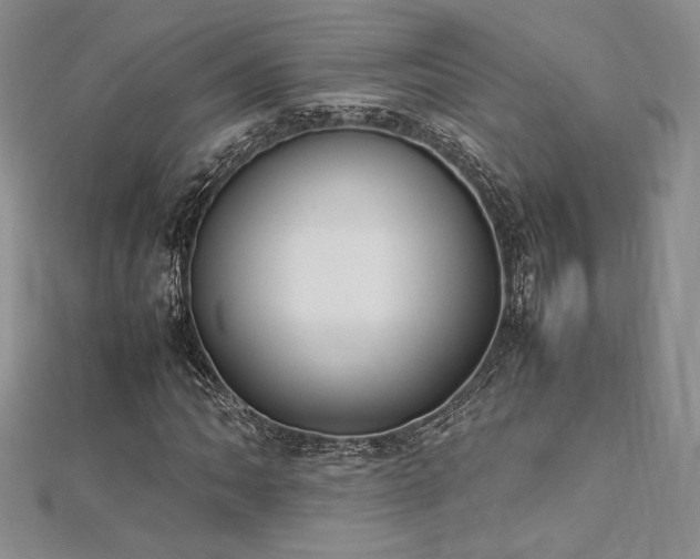 X0000113031062200908271450