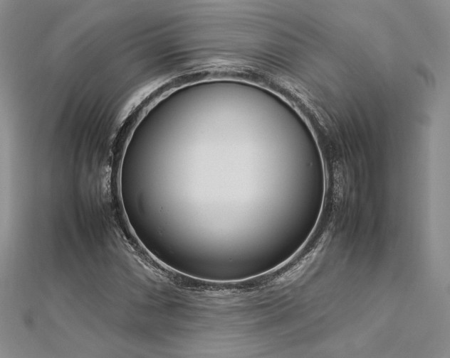 X0000113031066200908271450