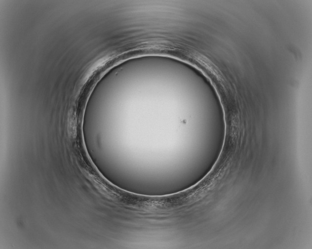 X0000113031067200908271450